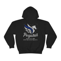 DOS Pegasus Dual Sided Hoodie