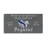 DEL 1 Pegasus Vinyl Banner