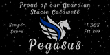 DOS Pegasus Vinyl Banner