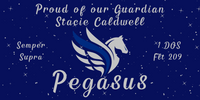 DOS Pegasus Vinyl Banner