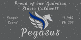 DOS Pegasus Vinyl Banner