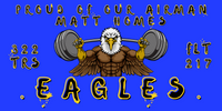 322 TRS Eagles Vinyl Banner