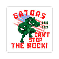 320 TRS Gators Decal
