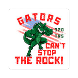 320 TRS Gators Decal