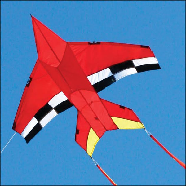 Jet Kites